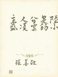 主人公是陆羽和盛凌云的小说红途