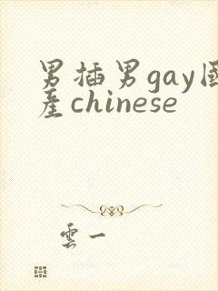 男插男gay国产chinese