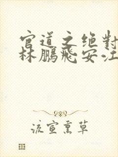 官道之绝对权力林鹏飞安江小说好看么封面