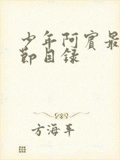 少年阿宾最新章节目录