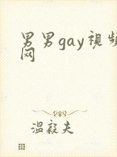 男男gay视频网封面