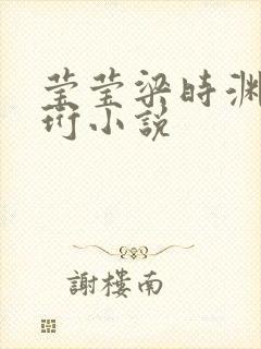 莹莹梁时渊梁时珩小说