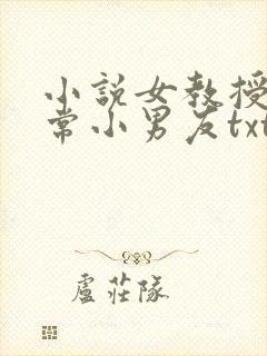 小说女教授的日常小男友txt下载