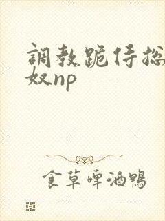 调教跪侍总攻众奴np