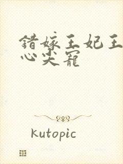 错嫁王妃王爷的心尖宠