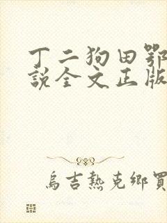丁二狗田鄂茹小说全文正版免费阅读封面