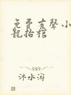 免费有声小说九龙抬棺