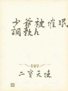 少爷被催眠玩弄调教h