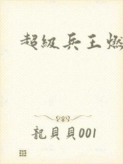 超级兵王燃文