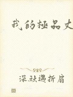 我的极品丈母娘封面