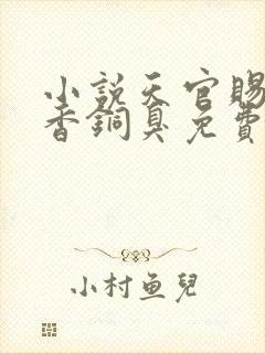 小说天官赐福墨香铜臭免费阅