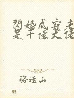 闪婚成宠老公竟是千亿大佬