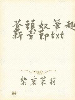 苍头奴笔趣阁最新章节txt