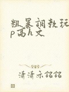 粗暴调教玩弄np高h文