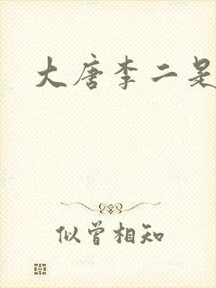 大唐李二是谁