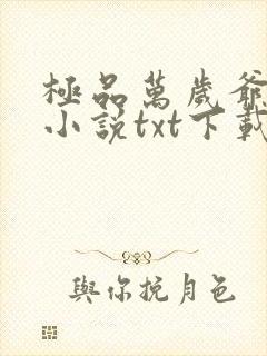 极品万岁爷妖刀小说txt下载