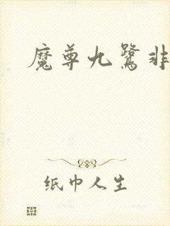 魔尊九鹭非香封面