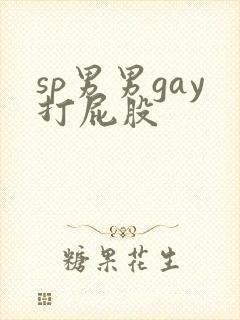 sp男男gay打屁股