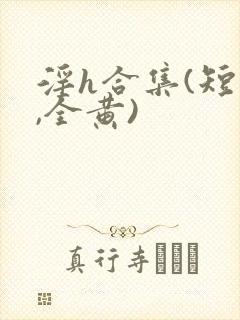 淫h合集(短篇,全黄)封面