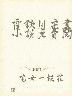 霍钦川宋书汀的小说免费阅读无弹窗