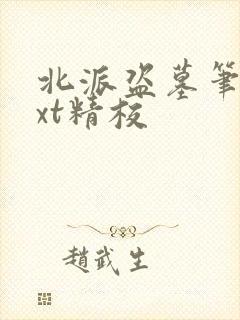 北派盗墓笔记txt精校