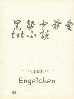 黑帮少爷爱上我txt小说封面