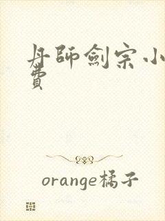 丹师剑宗小说免费