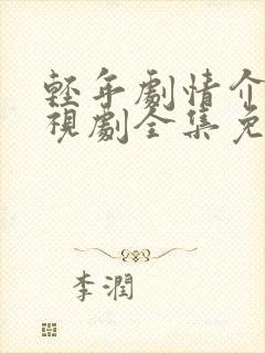 轻年剧情介绍电视剧全集免费观看