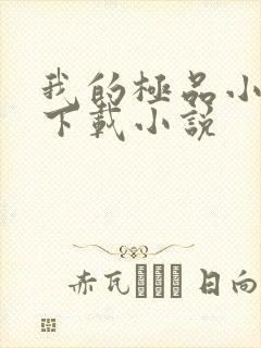 我的极品小姨 下载小说