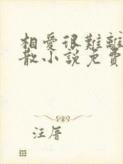 相爱很难离别易散小说免费阅读全文封面