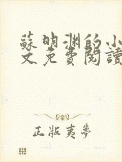 苏明渊的小说全文免费阅读无弹窗