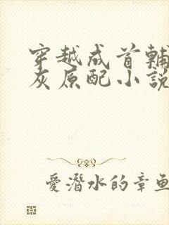 穿越成首辅的炮灰原配小说免费阅读