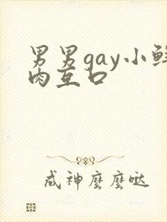 男男gay小鲜肉互口