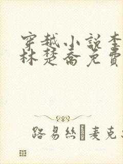 穿越小说李向南林楚乔免费阅读封面