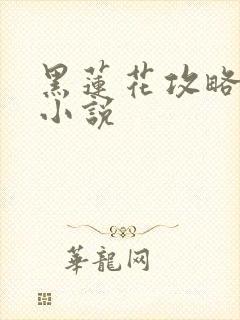 黑莲花攻略手册小说