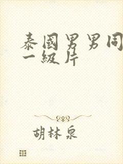 泰国男男同性恋一级片