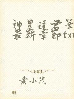 神农道君笔趣阁最新章节txt封面