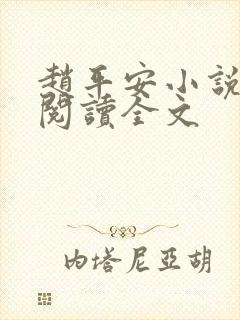 赵平安小说免费阅读全文封面