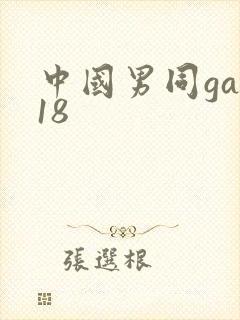 中国男同gay18