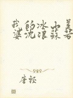 我的冰山美女老婆沈浪苏若雪封面