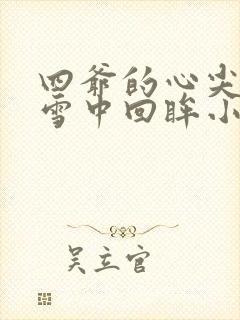 四爷的心尖宠妃雪中回眸小说免费完本