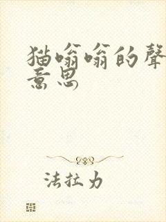 猫嗡嗡的声音啥意思