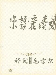 你好,要老婆吗小说在线阅读