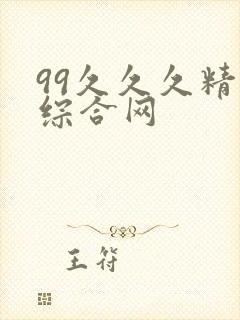 99久久久精品综合网