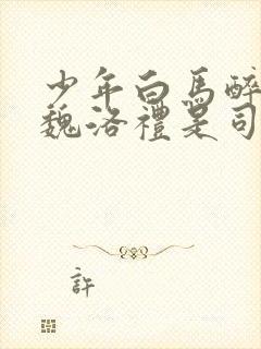 少年白马醉春风魏洛礼是司空长风吗