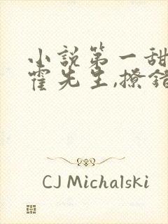 小说第一甜妻:霍先生,撩错了封面