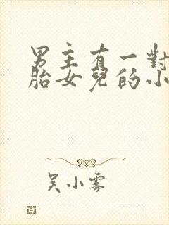 男主有一对双胞胎女儿的小说