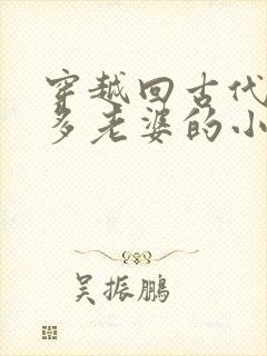 穿越回古代有很多老婆的小说