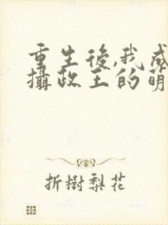 重生后,我成了摄政王的萌宠 小说