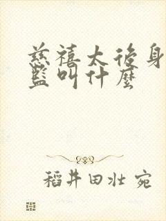 慈禧太后身边太监叫什么封面